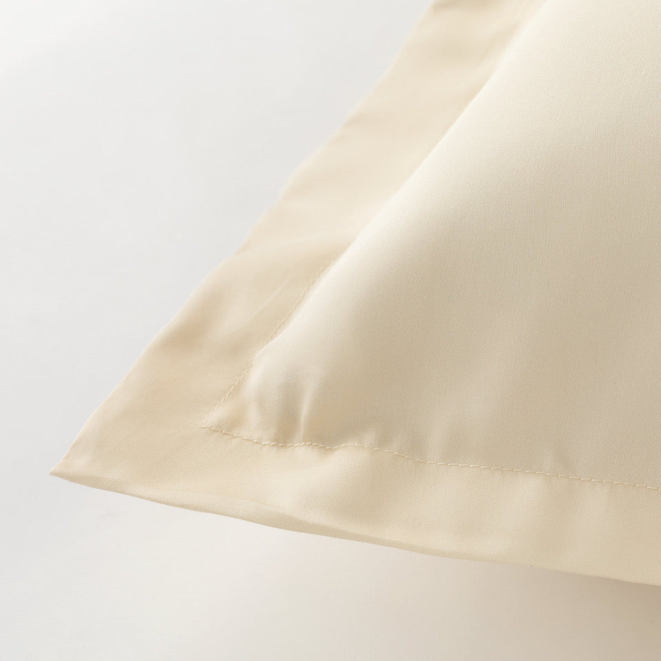 Coppia di Federe Effetto SETA Tencel