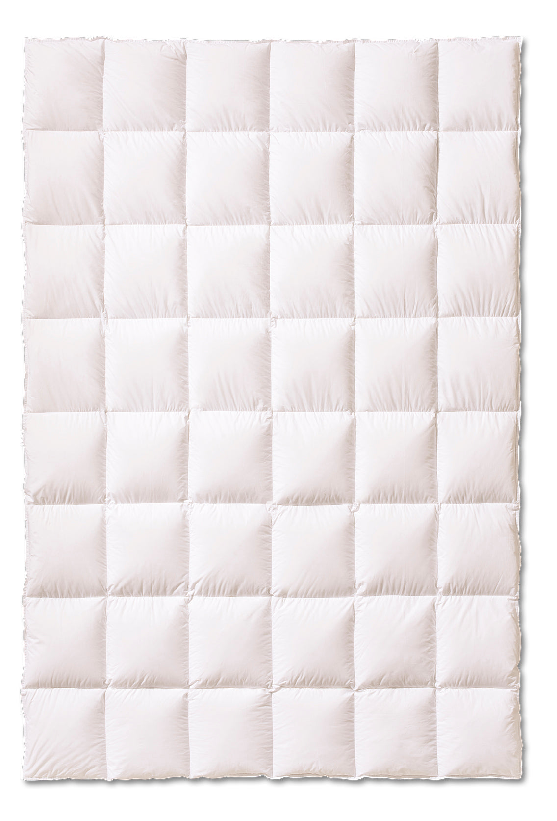 Piumino d'oca Vergine Coccola Letto Kauffmann x Moreali Singolo 155 x 200 Medio