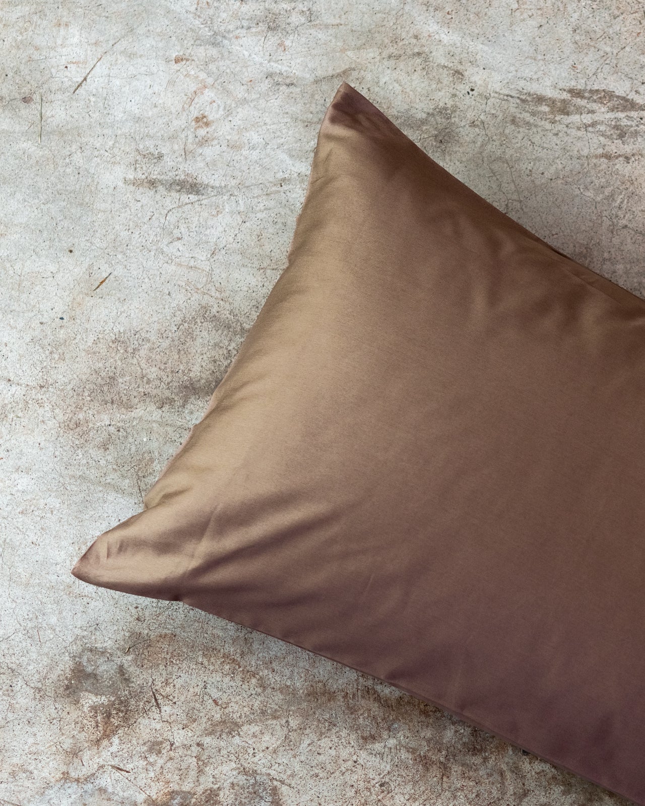 Federa Tinta Unita Raso di Cotone Letto Moreali Tessile Casa 52 x 82 cm Cioccolato