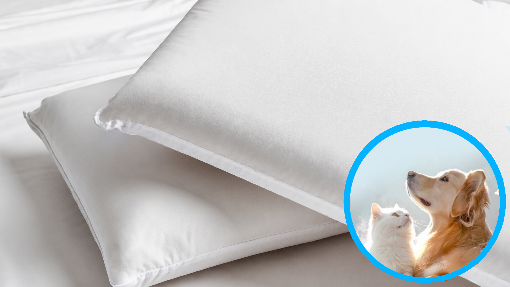 Copriguanciale Cotone AlerProTech® ANTIALLERGICO Materasso Velfont 50 x 80 Bianco