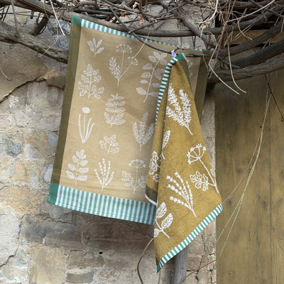 Set Canovacci Tela+Spugna CUCINA Cucina Moreali Tessile Casa 70x50 + 50x50 Verde