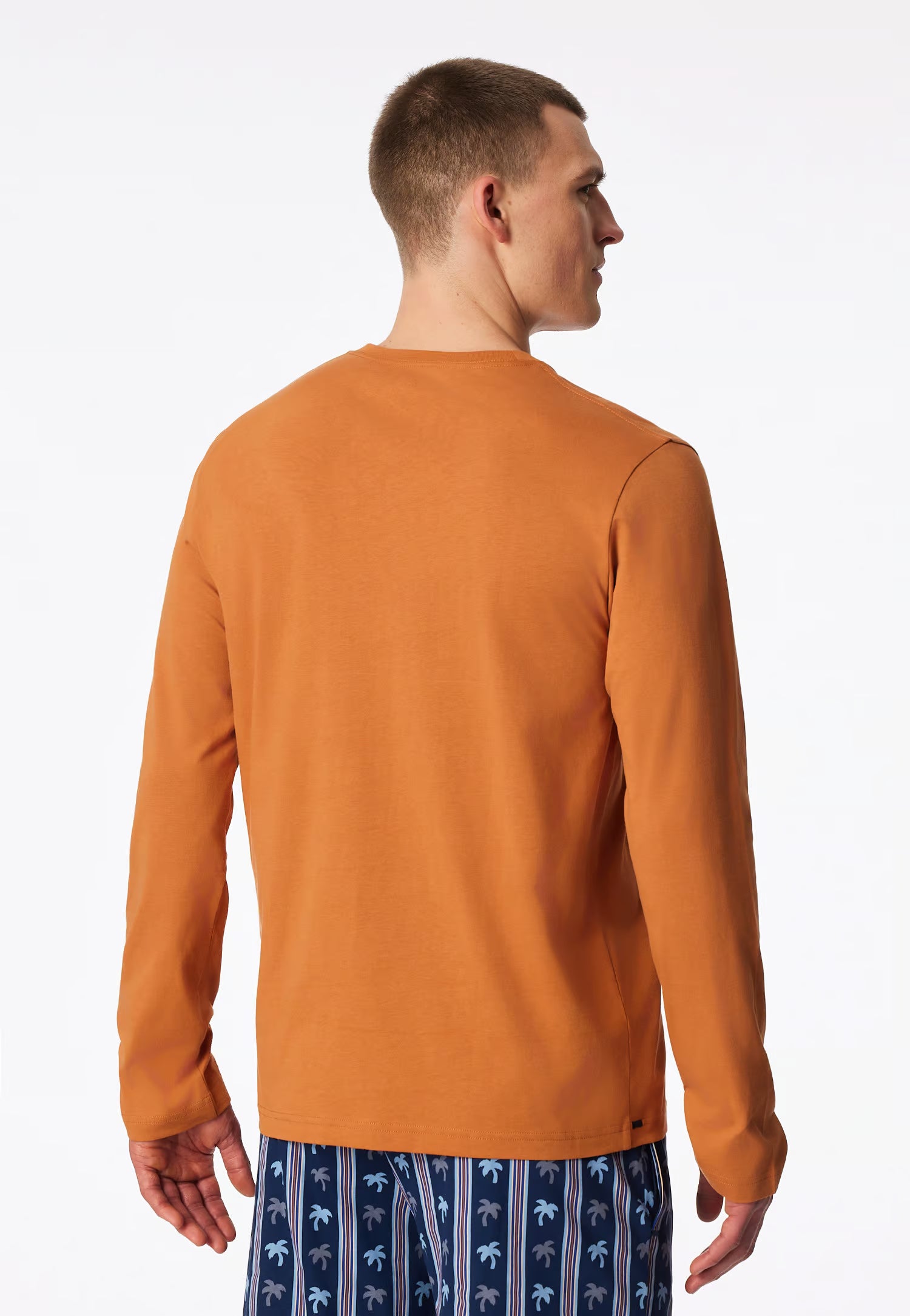 Maglietta Manica Lunga Uomo Cotone Coccio Abbigliamento Schiesser