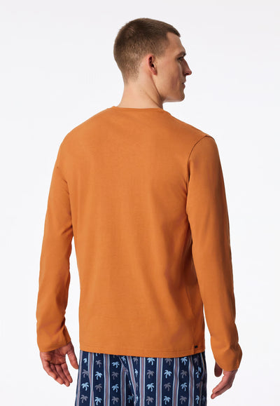 Maglietta Manica Lunga Uomo Cotone Coccio Abbigliamento Schiesser
