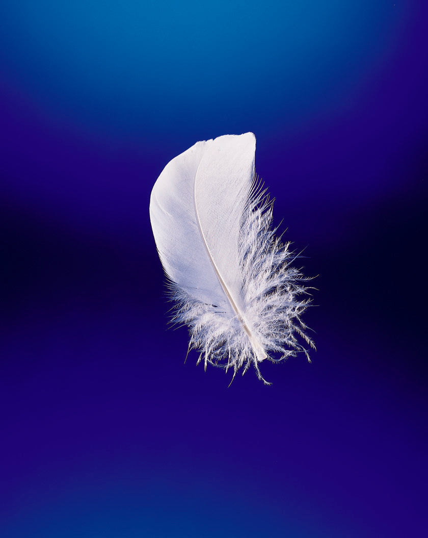 Guanciale Piumino Alto Sostegno COMFORT Materasso Cinelli