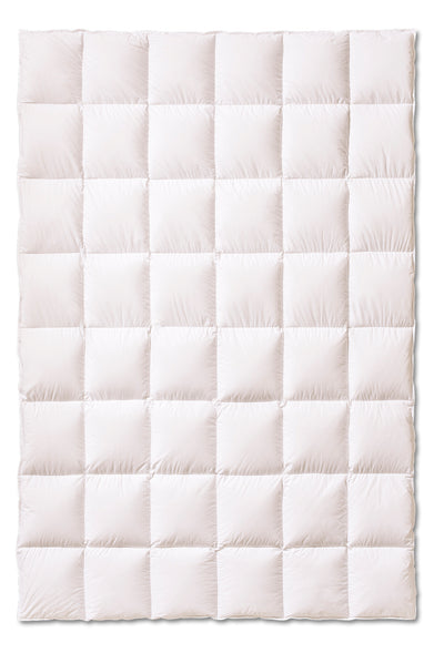 Piumino d'oca Vergine Coccola Letto Kauffmann x Moreali Singolo 155 x 200 Medio