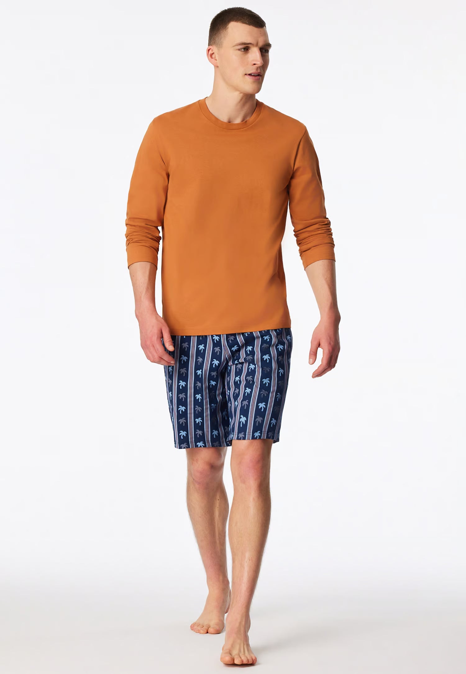 Maglietta Manica Lunga Uomo Cotone Coccio Abbigliamento Schiesser