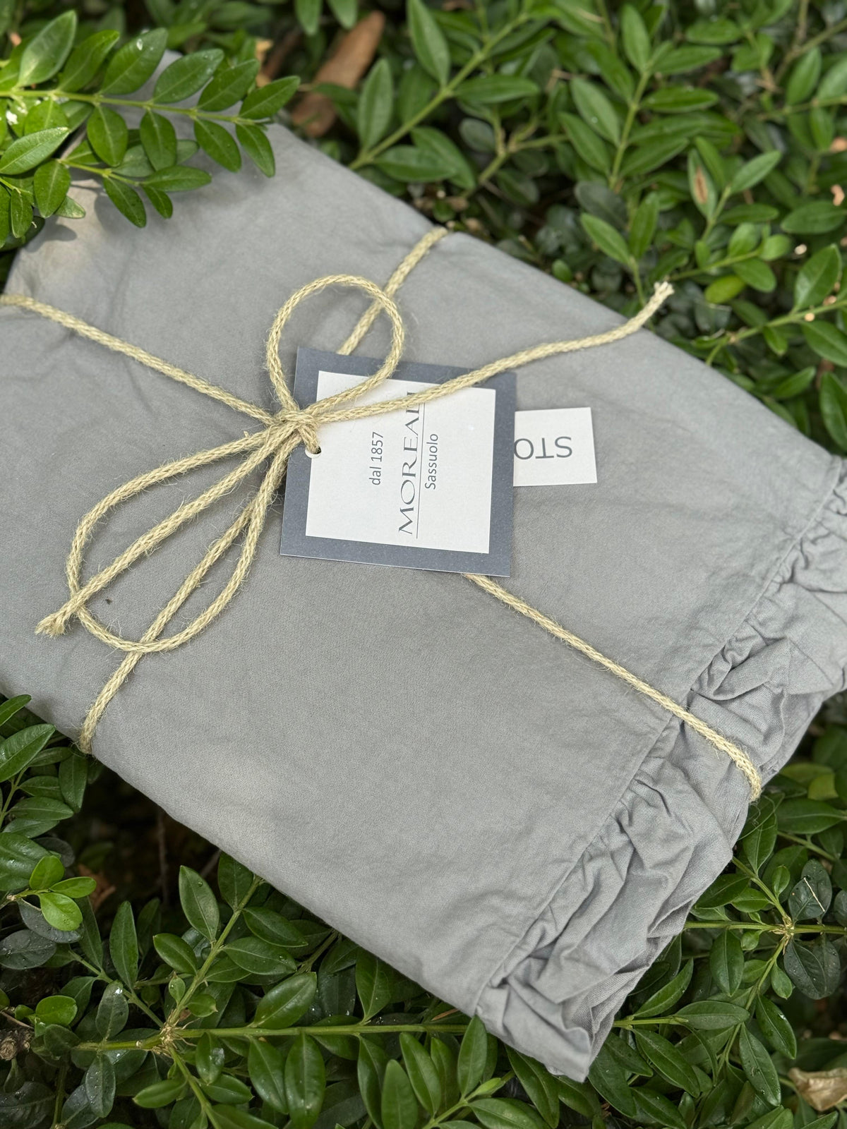 POPUP - Coppia Federe Cotone No-Stiro FRAPPINA