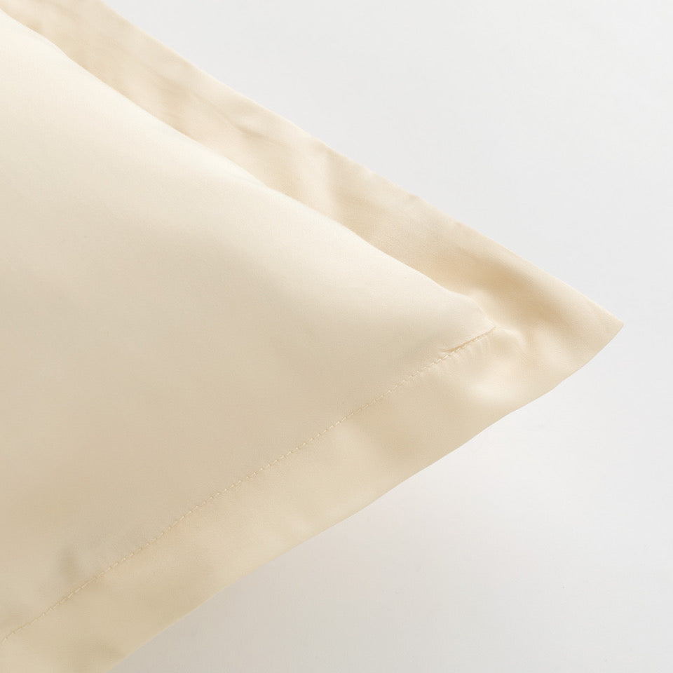 Coppia di Federe Effetto SETA Tencel