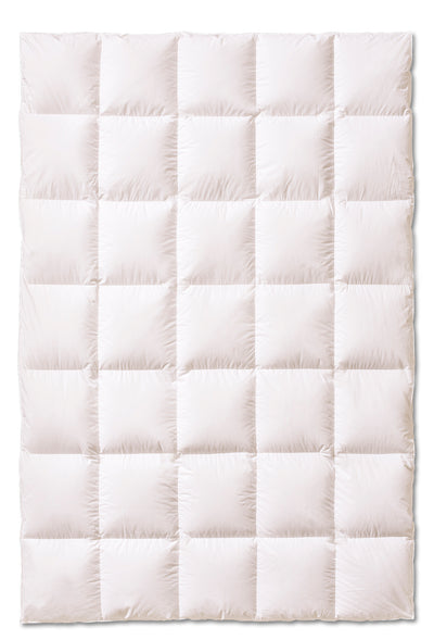 Piumino d'oca Vergine Tencel Premium Letto Kauffmann x Moreali Matrimoniale 250 x 200 Caldo