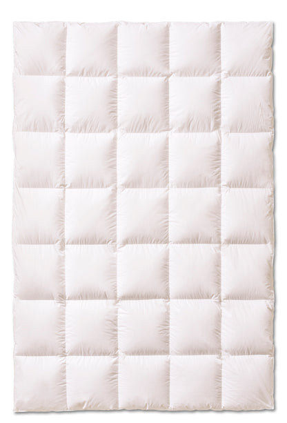 Piumino d'oca Siberiano Svalbard Letto Cinelli Matrimoniale 250 x 215 Caldo 200gr/mq