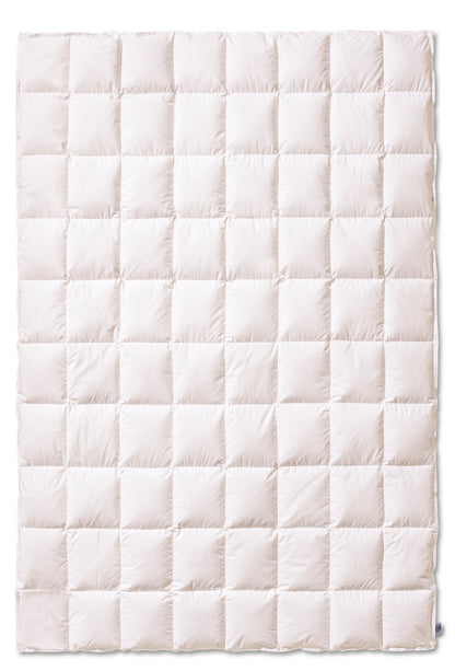 Piumino d'oca Vergine Coccola Letto Kauffmann x Moreali Singolo 155 x 200 Leggero