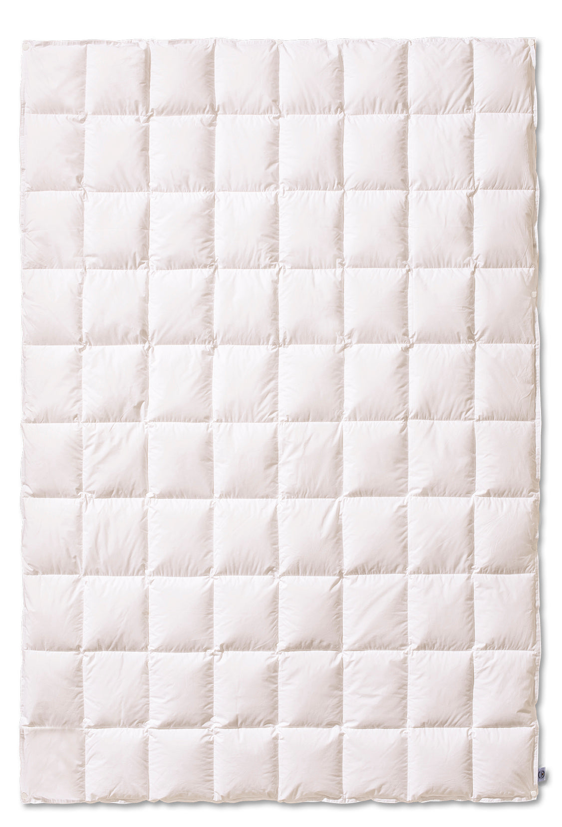 Piumino d'oca Vergine Coccola Letto Kauffmann x Moreali Singolo 155 x 200 Leggero